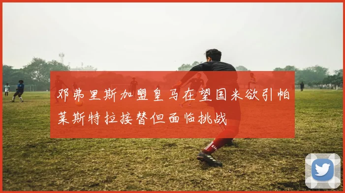 邓弗里斯加盟皇马在望国米欲引帕莱斯特拉接替但面临挑战