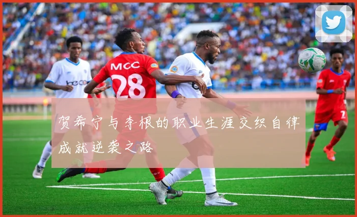 贺希宁与李根的职业生涯交织自律成就逆袭之路